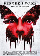 Before I Wake