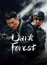 Dark Forest