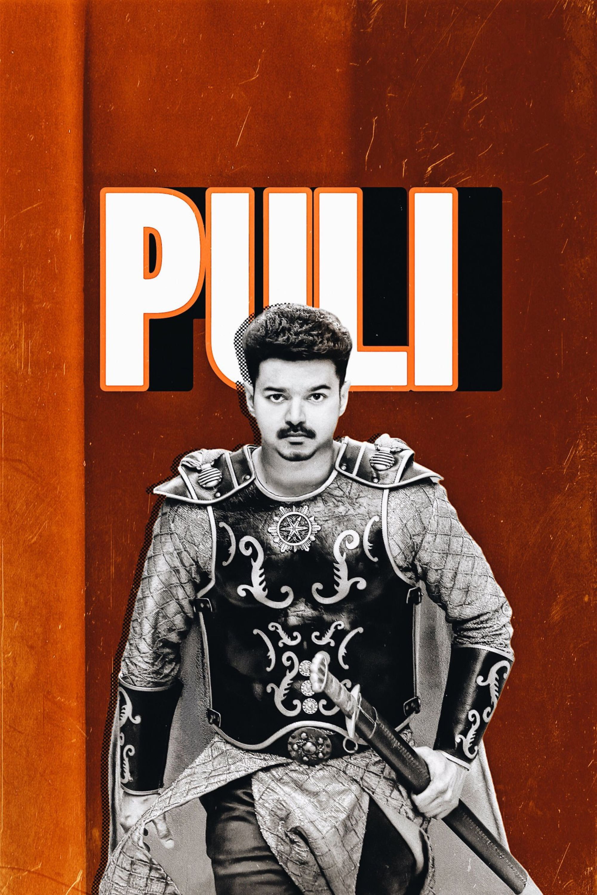 Puli 1