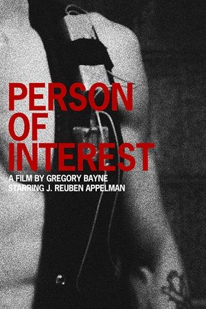 Person of Interest 2