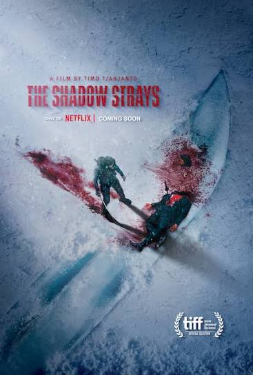 The Shadow Strays 1