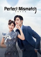 Perfect Mismatch
